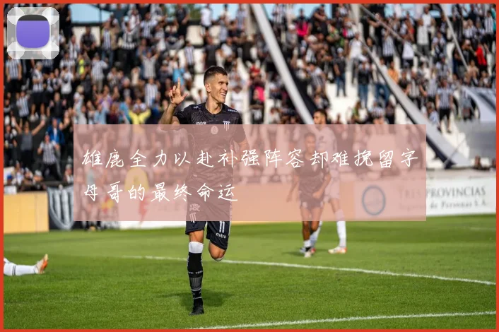 雄鹿全力以赴补强阵容却难挽留字母哥的最终命运